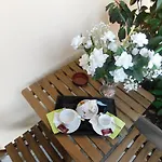 Bed & Breakfast Le Due G Varese