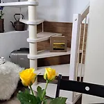 Le Due G Bed and Breakfast